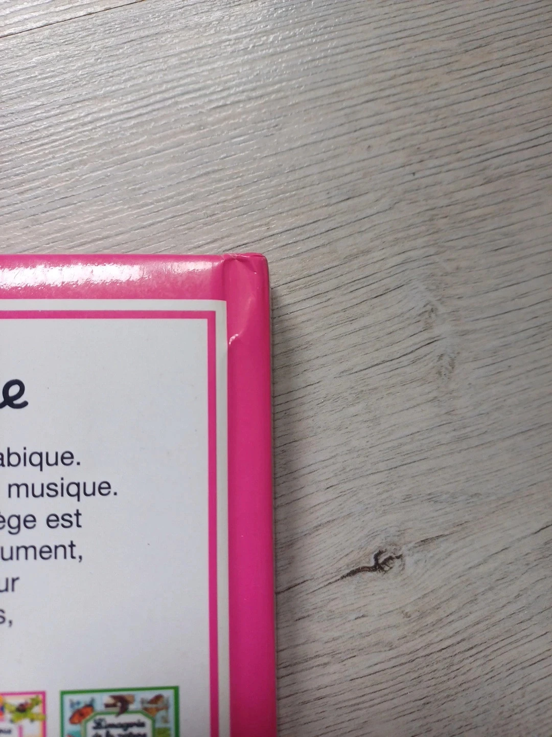Livro a imaginação da leitura nível 2 a pequena coelhinha puxa a tulipa – photo 4